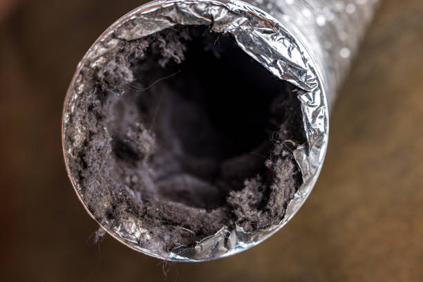 Best HVAC Air Duct Cleaning  in Hollister, MO