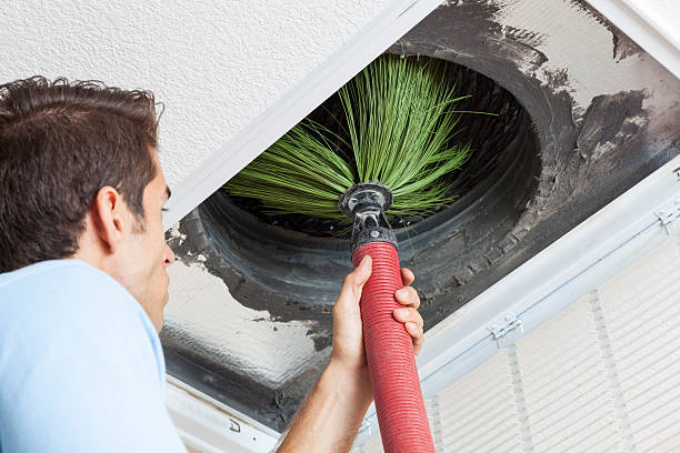 Best HVAC Maintenance and Cleaning  in Hollister, MO